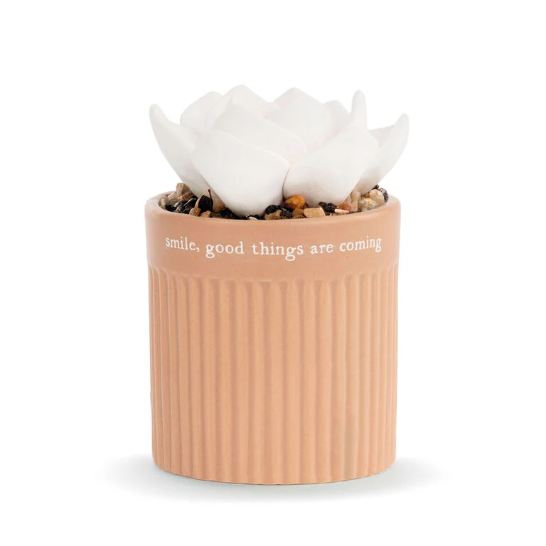 Demdaco Smile Succulent Oil Diffuser