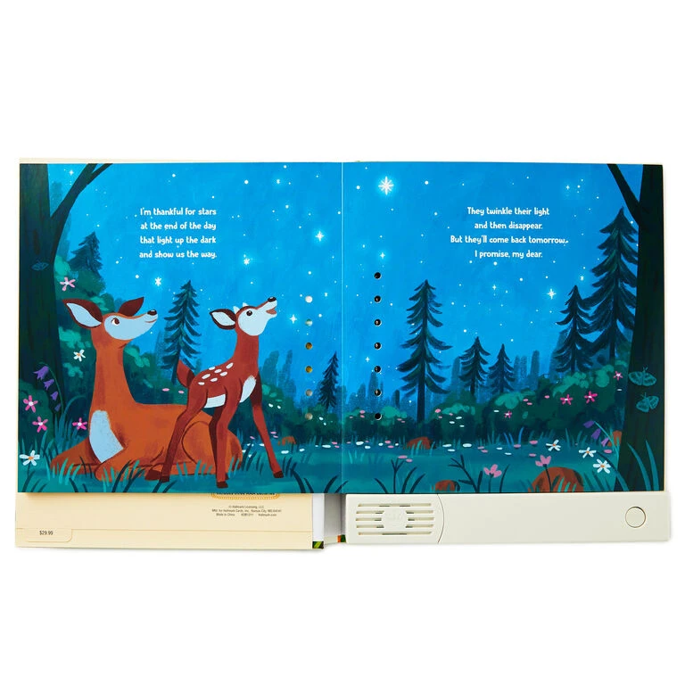 Hallmark I'm Thankful For You Recordable Storybook - Image 3