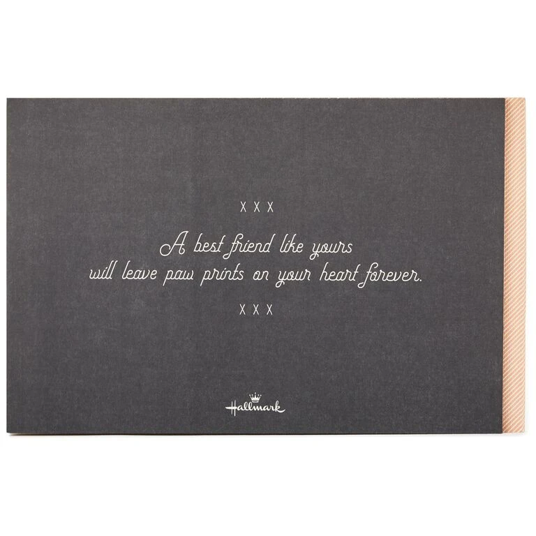 Hallmark Paw Prints On Your Heart: Saying Good-bye To Your Best Friend - Image 3